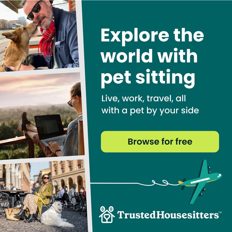 Find pet sitters with home insurance.