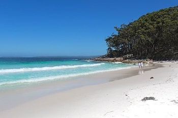 New South Wales Guides Australian travel guides for New South Wales.