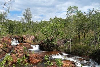 Northern Territory Guides Australian travel guides for Northern Territory.