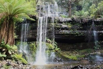 Tasmanian Guides Australian travel guides for Tasmania.