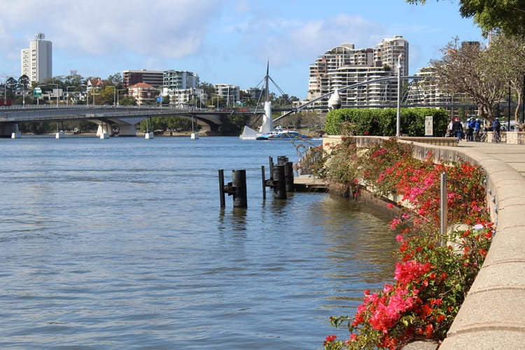 Riverside walk in Brisbane city.